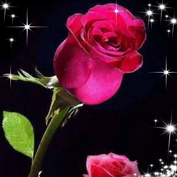 Meet your Posher, Maggy - Picture 1 of 1